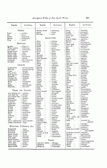 R.H. Mathews publishes Darkinung Language 1903, p281 Vocabulary & Word List
